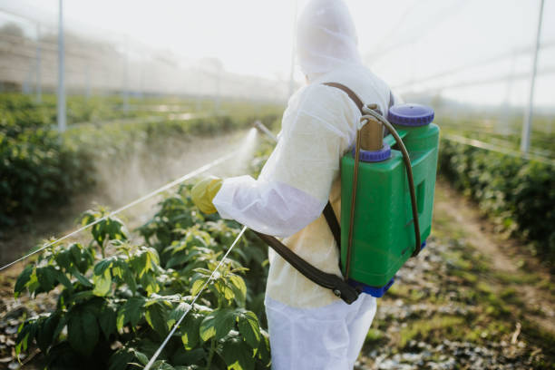 Best Pest Removal Services  in Bonneauville, PA